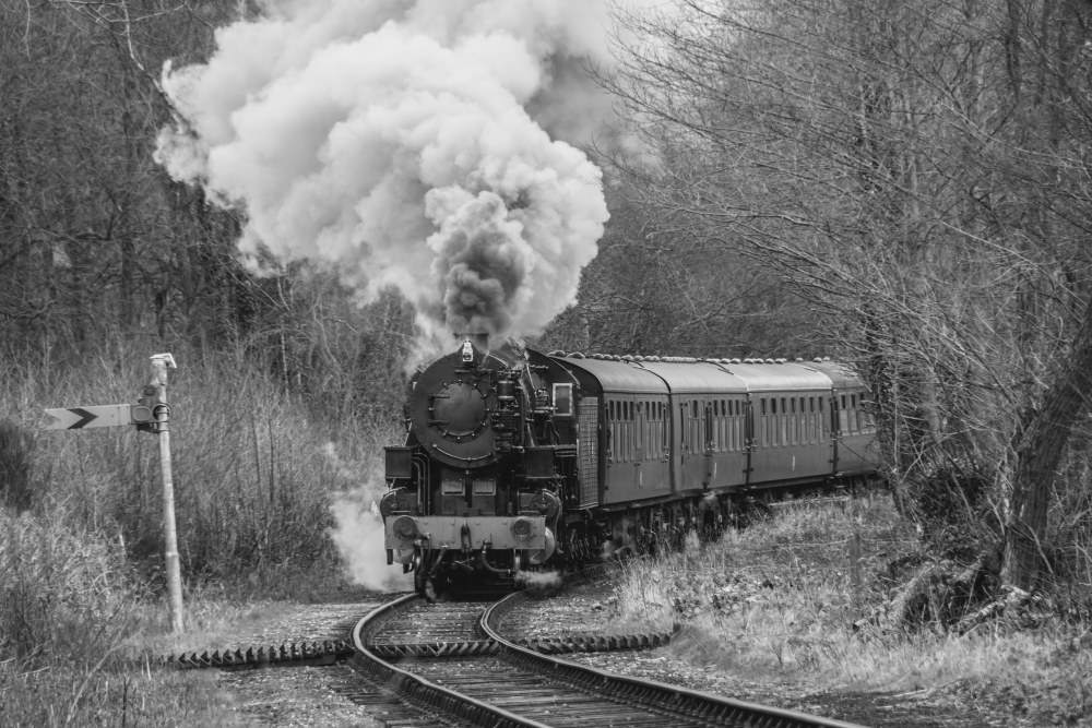 Steam locomotive pulls carriages along a curved railway with smoke rising above trees.